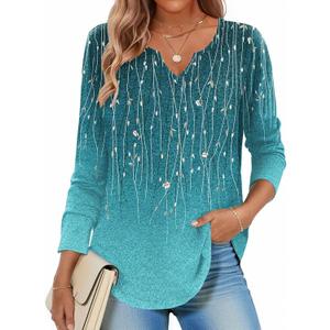 Zeagoo Long Sleeve Shirts for Women Spring Tops Casual Dressy V Neck Blouses Boho Tunic Western Clothes Vacation Outfits (Blue, L)