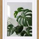 Egofine 12x16 Picture Frame with Plexiglass Made of Solid Wood, Display Pictures 9x12/11x14 with Mat or 12x16 Without Mat for Tabletop and Wall Mounting, Carbonized Brown