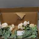 FACINOC Peonies Artificial Flowers Pink Silk Roses Bulk for DIY Wedding Bouquet Bridal Shower Decorations Fake Floral Arrangements Party Table Centerpieces Home Decor Indoor Blush Peach Box 20pcs