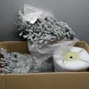 Puleo International 6ft Pre-Lit Potted Flocked Arctic Fir Pencil Christmas Tree with 120 Warm White Lights, 1325 Realistic Dense Snow Flocked Branch Tips, Easy Setup Artificial Trees with Sturdy Stand