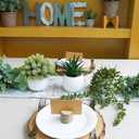 Winlyn Set of 3 Assorted Artificial Succulent Plants in White Concrete Pots Faux Aloe Hops String of Pearls Potted Plants Small Fake Plants for Home Garden Office Desk Counter Shelf Windowsill Decor