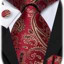 Hi-Tie Paisley Floral Ties Set for Men Silk Mens Stripes Necktie Pocket Square Cufflinks Set Formal Business (Gold Red)