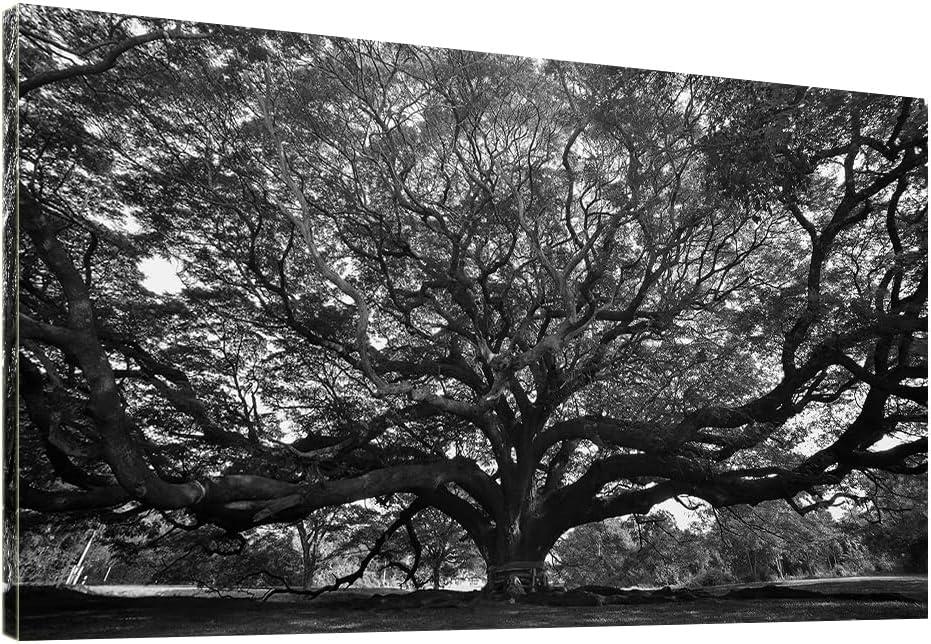 Black White Big Tree Bathroom Canvas Wall Art -Large Nature Tree Art Wall Decor Framed for Office Bedroom Living Room-40"x 20"