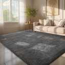 Ophanie 6x9 Area Rugs, Upgrade Non-Slip Fluffy Soft Rugs for Living Room, Large Shag Grey Fuzzy Plush Rug, Gray Shaggy Big Carpets for Bedroom, Kids Boys Girls Dorm Nursery Home Decor Aesthetic