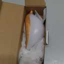 Small Desk Lamp, Cute Bird Light Cordless Lamp with 3 Color Temperature and Touch Sensor,Kids Night Light with Rechargeable Battery for Bedroom Nightstand Bedside Table Room Decor (Maple)