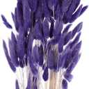 MECCANIXITY 120pcs Natural Rabbit Bunny Tails Dried Flowers 24" Mini Pampas Grass Lagurus Ovatus Bunch for Floral Wedding Decor Christmas, Dark Purple