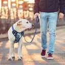 BUMBIN Dog Harness for Large Dogs, No Pull Adjustable No Choke Pet Vest with Dog Leash Fit Smart Reflective Pet Walking Harness for Training Easy Control Soft Handle Blue Camo, Large