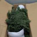 3ft Artificial Cedar Topiary Trees 2 Pack,Real Touch Cedar Tree Faux Plants Potted UV Resistant Evergreen Tree for Outdoor Indoor Door Garden Farmhouse Home Decoration