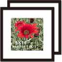 16x16 Picture Frame Black 2 Pack Solid Wood for Mat 12x12 Wall Mounting Square Poster Photo Frames (16x16 INCH)
