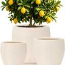 16/13/10 Inch Extra Large Planters for Indoor Outdoor Plants with Drainage