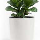 Bamworld Self Watering Pots for Indoor Plants with Water Level Indicator 12 inch Plant Pot Plastic Planter with Wooden Stand for Outdoor Plants Modern Dcor for Porch Patio White Large