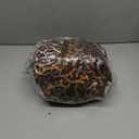 Leopard Print Blanket Fleece Throw for Bed Sofa Travel and Camping, Super Soft Cozy Fluffy Plush Cheetah Print Blanket for All Seasons 50"x60" (Dark Brown)