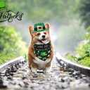 4Pcs Green Irish St. Patrick's Day Dog Hat & Bandana Set with Shamrock Decor, Reversible, Adjustable, Lightweight, All Ages