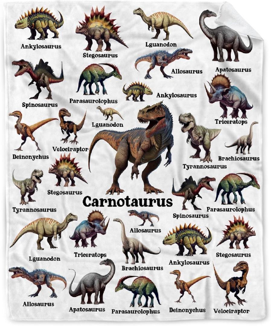Dinosaur Blanket Gifts for Boys, Jurassic Dino Throw Blanket Gifts for Baby Girls Decor Animal Wild Plush Soft Lightweight Flannel Fleece Dinosaurs Blankets Sheet for Nursery Stroller Toddler 40x30In