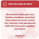 2 x Downtown Pet Supply Step in Dog Harness for Small Dogs No Pull, Medium, Blue - Adjustable Harness with Padded Mesh Fabric and Reflective Trim - Buckle Strap Harness for Dogs