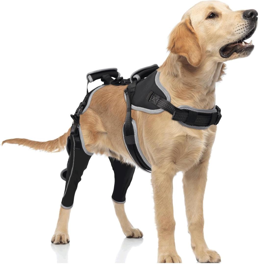 LISPOO Dog Knee Brace for ACL/CCL Injuries, Torn Ligament , Luxating Patella - Rear Leg Support,  Pain Relief, Joint Warmth, Black,(L),(Both Legs)