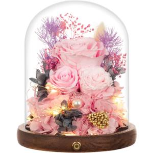 Large Preserved Flowers with Card&Box-Flowers for Delivery Prime,Eternal Rose with Lights,Roses in Glass Dome,Romantic Gift for Her,Decoration,Fresh Rose Flowers for Mom, Birthday, Anniversary (Pink)