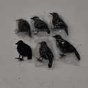 ATDAWN 6 Pack Halloween Black Feathered Crows, Realistic Halloween Birds Decoration for Spooky Decor