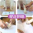 EXPAWLORER Anti Slip Dog Socks to Prevent Licking Paws, Dog Shoes for Hot Pavement, Dog Booties for Small Medium Large Senior Dogs, Traction Control Boots & Paw Protectors for Hardwood Floors XS