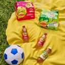 Lipton Diet Green Tea Citrus, 16.9 Fl Oz Bottles (Pack of 12) (EXP 04/13/26)