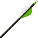 Gold Tip .246 Hunter XT 100% Carbon Hunting Arrows, 340 6 packs