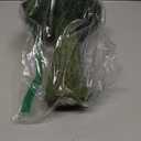 SuperMoss (55271) Deco Moss Small Mushroom, 11", Fresh Green