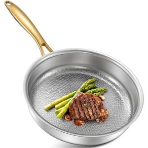 10 Inch Titanium Pans for Cooking, Pure Titanium Frying pan Hammered Design, Non-Toxic Skillet PFAS/PFOA/PTFE Free, Titanium Pro Pan for cooking for all hobs, Fast & Even Heat