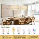 20" Large Modern Drum Chandelier, 2-Layer Linen Fabric Shade Pendant Light