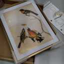 6x8 Picture Frame, Brass Aluminum Metal Photo Frames with HD Glass, Fits 5x7 with Mat or 6 x 8 without Mat, Display for Wall and Table