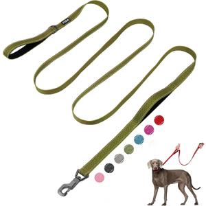 Fida 10ft Heavy Duty Dog Leash with 2 Comfortable Padded Handles, Traffic Handle & Advanced Easy Snap Hook, Reflective Walking Lead for Large, Medium & Small Breed Dogs, Green