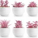 Der Rose Set of 6 Pink Succulents Plants Artificial in Pots Small Fake Plants for Girls Pink Room Decor Office Desk Accessories for Women