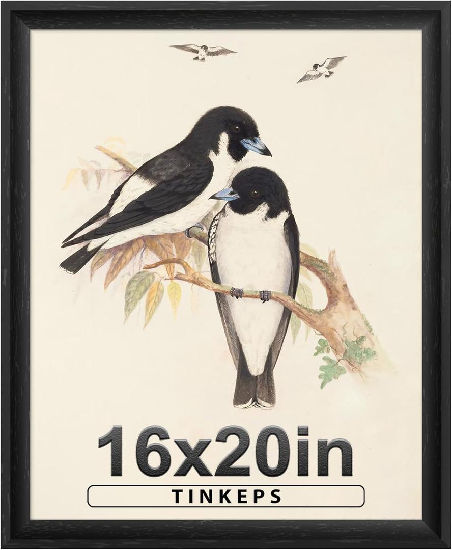 16x20 Frames as Poster Frames, 1.37-In Wide MDF Frame with Plexiglass, 16 x 20 Picture Frames for Wall, Black