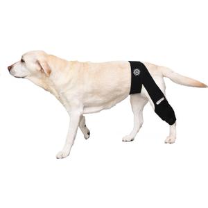 Generic Large Breathable Dog Knee Brace for Torn ACL Legs - Easy to Use, Neoprene Dog Leg Braces for Back Leg - ACL Brace for Dogs, Helps Reduce Pain and Heal Injuries