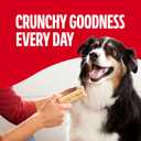 Milk-Bone Original Dog Treats Biscuits for Large Dogs, 10 Pounds (Packaging May Vary) (EXP 06/04/27)