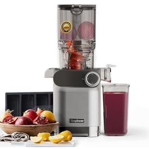 Anybear Cold Press Juicer, 200W Slow Masticating Juicer 4.3" Large Feed Chute Fit Whole Fruits Vegetables | Heavy Duty Auger | Tritan Materials | BPA Free | Easy to Clean (Silver)