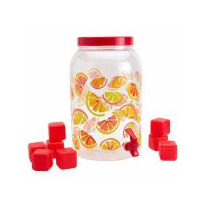 Everyday Living Bottle for Lemonade