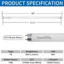 18 Inch F15T8/CW Fluorescent Light Bulb, 4100K Cool White, T8 15 Watts Fluorescent Bulb, Replacement Tube for Counter and Cabinet Fixture, G13 Base - 2 Pack