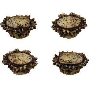 Old River Antler Drawer / Cabinet Knobs (4 Pack) - 2 Sizes of Screws and Washers Included