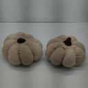 Lanpn Fall Pumpkin Pillows Set of 2, Halloween Decoration Plush Throw Pillows Soft Fleece Sherpa Cute 3D Shaped Cushion for Sofa Couch Bedroom Autumn Thanksgiving (Beige, 12.6x8.7in & 9x5.9in)