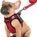 FAYOGOO Service Dog Vest for Small Breed - Lightweight Dog Harness with 6PCS Removable Patches - Puppy Harness and Leash Set for Walking, Training (Red), M