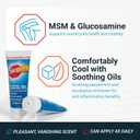 2 x Stopain Pain Relief Gel 3oz USA Made, Max Strength Fast Acting with MSM, Glucosamine, Menthol for Arthritis, Lower Back Sciatica, Knee, Neck, HSA FSA Approved Topical Analgesic Products