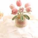 Hand Crocheted Tulip Potted Plants, Home Central Decorative Tables, Shelves, and Creative DIY for Christmas, Thanksgiving, Birthdays and Housewarming (Pink)