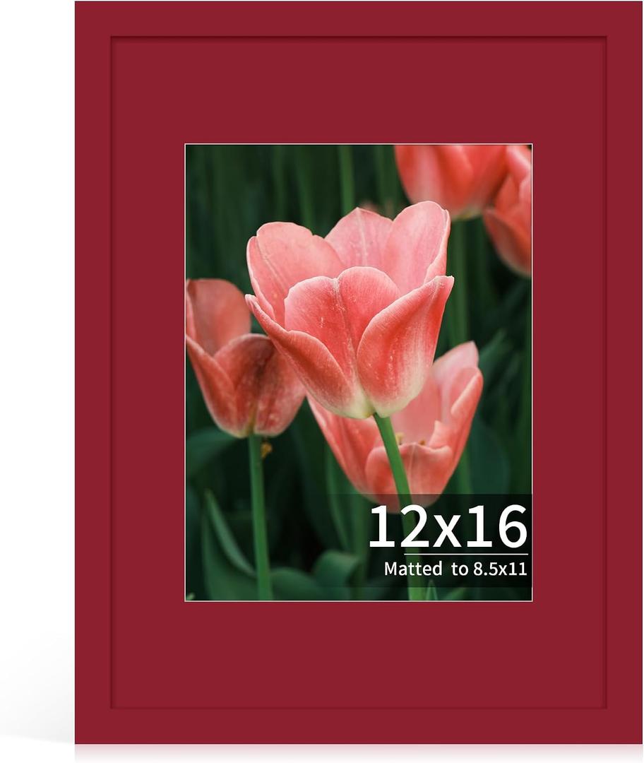 12x16 Picture Frame, Real Glass, Wood Frame with 8.5x11 Colorful Mat