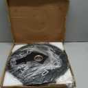 CAP 10lb Economy Olympic Bumper Plate, Pair