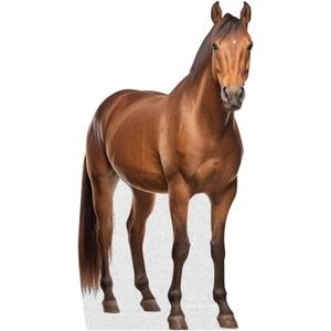 Horse - Life Size Cardboard Cutout Standup People with Support Standee | Animals -1