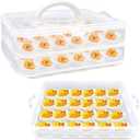2 Layers Deviled Egg Containers with Lid,48 Slots Deviled Eggs Holder with Handle,Plastic Egg Tray,Portable Egg Storage Carrier Platter for Easter,Thanksgiving Day,Party,Picnic