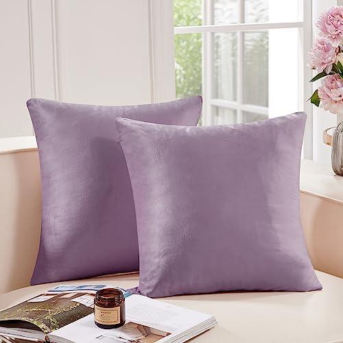 Deconovo Velvet Throw Pillow Covers, Set of 2, Decorative Pom-poms Soft with Invisible Zipper Cover for Sofa,Burgundy,12x20 Inch