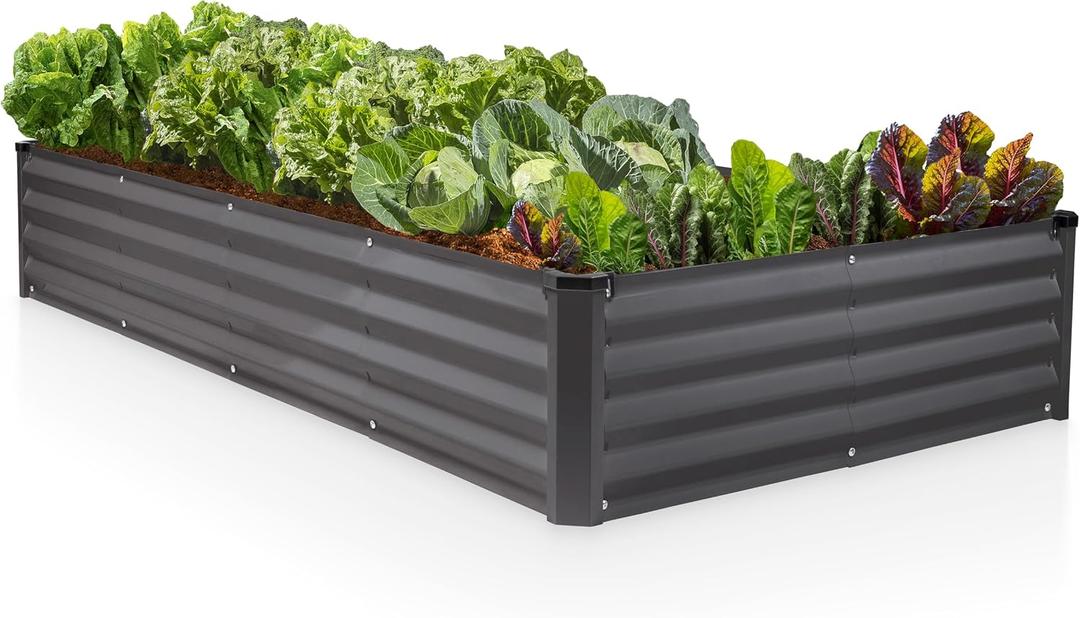 Plant & Plot Galvanized Raised Garden Beds Outdoor // 8×4×1 ft Planter Raised Beds for Gardening, Vegetables, Flowers // Large Metal Garden Box // Patented Tool-Free Design (Dark Gray)