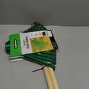 Superio Kids Garden Rakes, 2 Pack, Rakes with Wooden Handle, Plastic Head, 34" (Green)