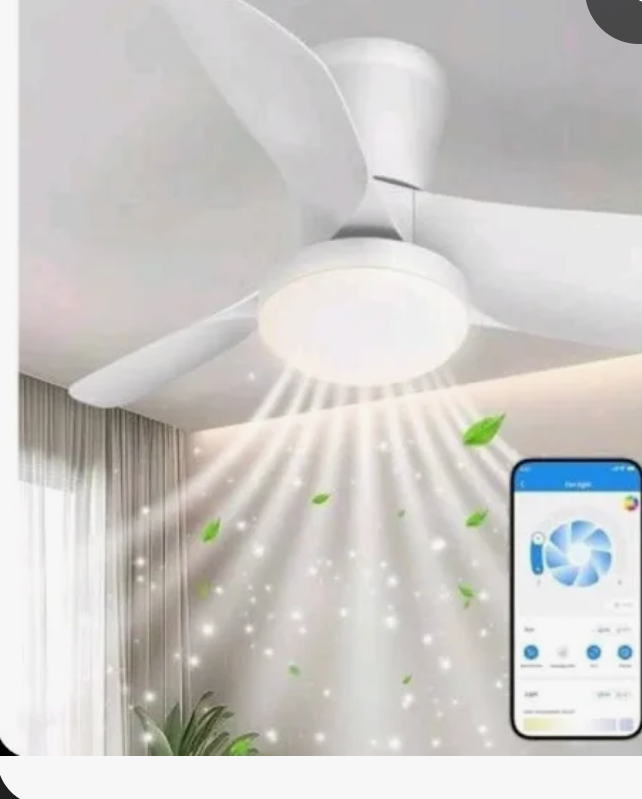 Ceiling Fans with Lights: 30 Inch Low Profile Ceiling Fans with Lights and Remote & APP Control Quiet Reversible 3 Colors Dimmable 6 Speeds Flush Mount Small Black Ceiling Fan for Bedroom Bathroom